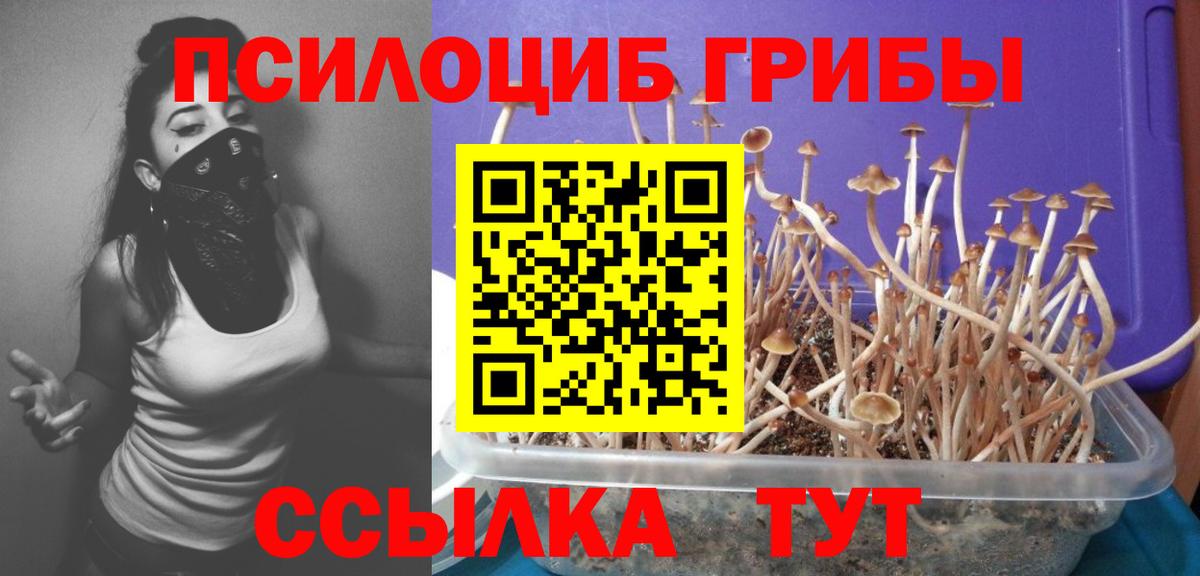 Псилоцибиновые грибы MAGIC MUSHROOMS  Галлюциногенные грибы GOLDEN TEACHER  магазин    Ртищево  Вход с VPN 
